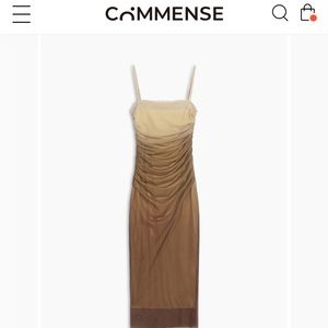NWT Cappuccino Ombré Mesh Zippered bodice long dress